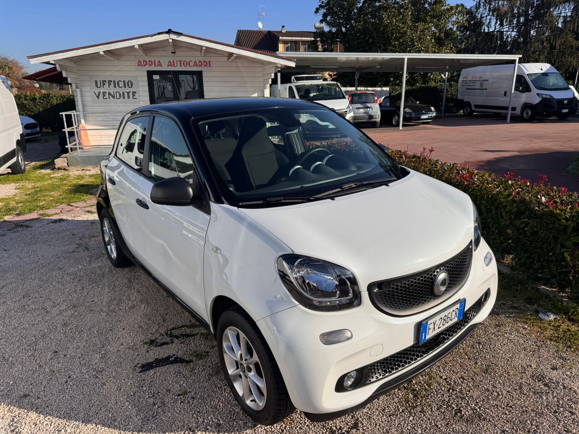 SMART FORFOUR 1.0BENZINA 71CV AUT. 2019